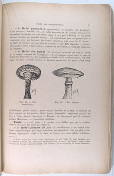 Le champignon poison ou aliment.. BURET F. (Docteur) :