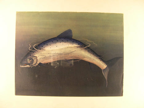 Le Saumon, poisson royal.. Louis Carrère