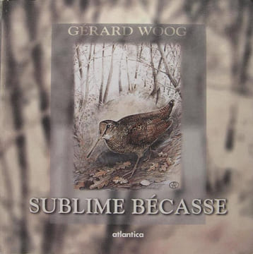 Sublime bécasse.. Woog Gérard