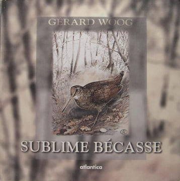 Sublime bécasse.. Woog Gérard