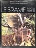 Le Brame - Images et rituel.. Jean-Luc Duvivier De Fortemps