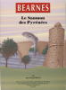 Bearnes le Saumon des Pyrénées.. Jean-Claude Selles