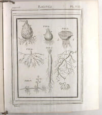 Démonstrations élémentaires de Botanique, contenant les principes généraux de cette science, l'explication des termes, les fondemens des méthodes, & les élémens de la physique des végétaux.