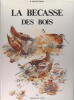 La bécasse des bois (scolopax rusticola). D. Fraguglione