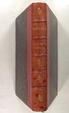 Le chasseur rustique contenant la théorie des armes, du tir, et de la chasse au chien d’arrêt, en plaine, au bois, au marais, sur les bancs, ... suivi ...