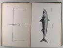 SEA-FISH ; an account of the methods of angling as practised on the english coast, with notes on the capture of the more sporting fishes in ...