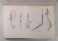 SEA-FISH ; an account of the methods of angling as practised on the english coast, with notes on the capture of the more sporting fishes in continental, south african, and australian waters.