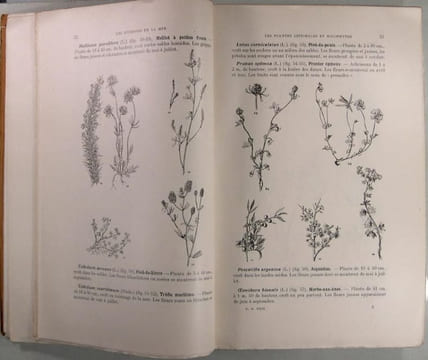 Les richesses de la mer - Technologie, biologique et océanographique. Boudarel Noël