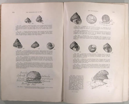 Les richesses de la mer - Technologie, biologique et océanographique. Boudarel Noël