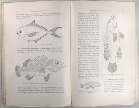 Les richesses de la mer - Technologie, biologique et océanographique. Boudarel Noël
