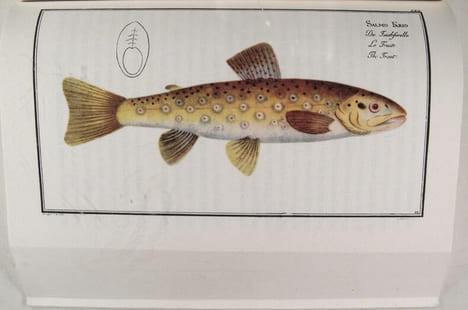 Le parfait pêcheur à la ligne ou le divertissement du contemplatif - Discours sur les rivières, les étangs, la pêche et le poisson.. Izaak Walton