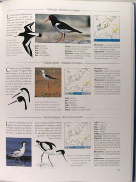 Les Oiseaux de nos régions - Encyclopédie familiale des oiseaux d'Europe. John Gooders
