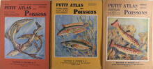 Petit Atlas des poissons - Atlas des vertébrés.. Léon Bertin