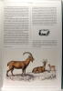 Histoire du Monde Naturel ; Le royaume animal décrit et illustré avec 200 gravures en couleur.. Oliver Goldsmith