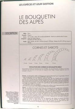 Le grand gibier : Les espèces, la chasse, la gestion. Collectif., J.M Ballu, Guy Bonnet, ...