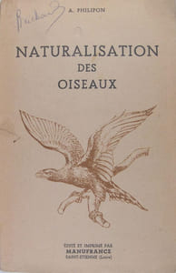 Naturalisation des oiseaux