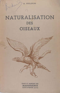 Naturalisation des oiseaux