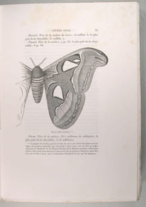 L'art de la soie - Les soies