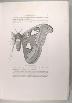 L'art de la soie - Les soies. Rondot Natalis