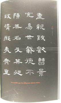 Entre ciel et terre - Sur les traces de l'écriture chinoise. Shi Bo
