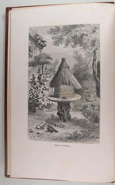 L'Air et le monde aérien.. Arthur Mangin