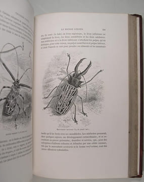 L'Air et le monde aérien.. Arthur Mangin