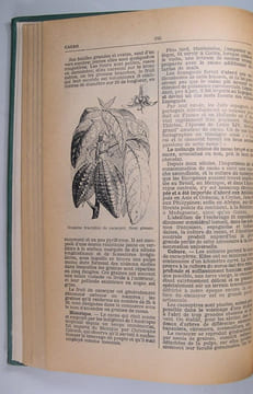 Dictionnaire encyclopédique de l'Épicerie et des industries annexes.. Robert Petit