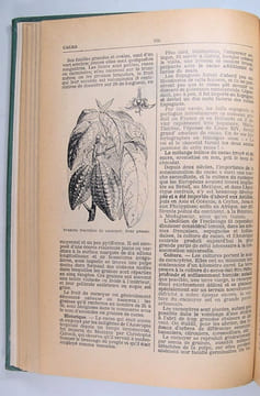 Dictionnaire encyclopédique de l'Épicerie et des industries annexes.. Robert Petit