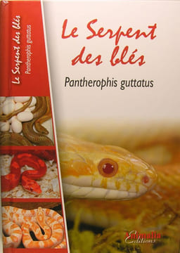 Le Serpent des Blés : Pantherophis Guttatus . Stéphane Rosselle, Collectif.