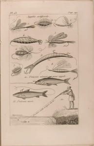 Nouveau traité de la chasse et de la pêche