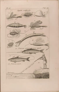 Nouveau traité de la chasse et de la pêche