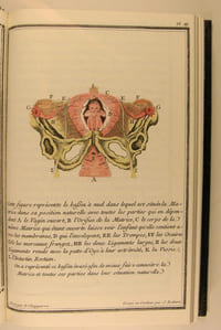Abrégé de l'art des Accouchements, dans lequel on donne les préceptes nécessaires pour le mettre heureusement en pratique, on y a joint plusieurs observations intéressantes sur des cas singuliers - Ouvrage très utile aux jeunes Sages-femmes, & généralement à tous les Élevais en cet Art, qui désirent de s'y rendre habiles.