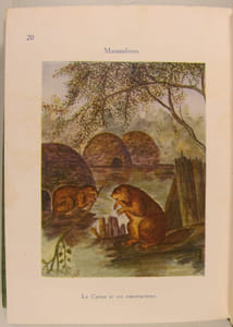 La faune des Lacs, des Etangs et des Marais.