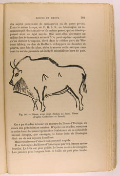 La faune disparue de France, depuis les origines jusqu'à nos jours.. Thévenin René