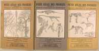 Petit atlas des fossiles : Fossiles primaires et triasiques, jurassiques et cr&eacute;taciques, tertiaire et quaternaire.. Collectif.