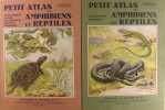 Petit atlas des Amphibiens et Rreptiles.. Angel. F