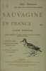 Nos oiseaux de mer, de rivi&egrave;re et de marais - La sauvagine en France. TERNIER Louis