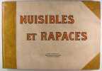 Nuisibles et rapaces.. Manufrance