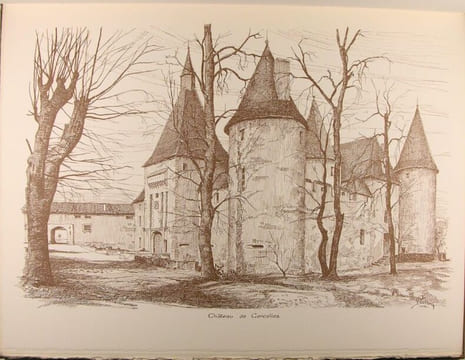 Châteaux en Beaujolais.. Meras Mathieu, Carron Pierre