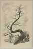 L'Offrande lyrique.. Rabindranath Tagore