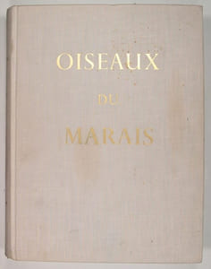 Oiseaux du marais