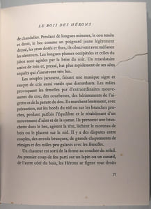 Oiseaux du marais
