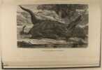 Les grandes chasses. Meunier victor