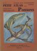 Petit atlas des poissons - N° 4, fascicule 1 : Poissons marins : requins, raies, clupes, gades, poissons plats.. BERTIN Léon