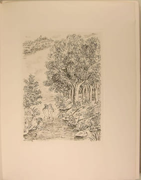 La verte Hélène. DEVAUX Pierre