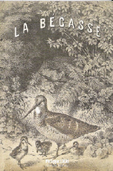 La bécasse.. HOFFMANN J. Dr