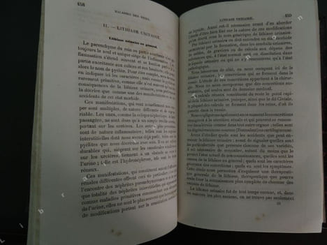 TRAITE DES MALADIES DES REINS ET DES ALTERATIONS DE L ' URINE. LECORCHE ( Ernest )