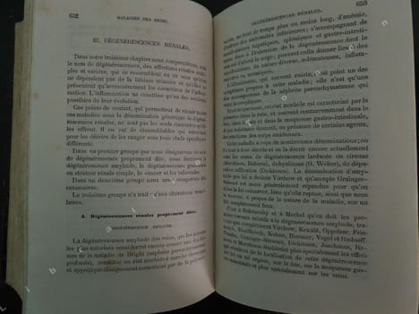 TRAITE DES MALADIES DES REINS ET DES ALTERATIONS DE L ' URINE. LECORCHE ( Ernest )