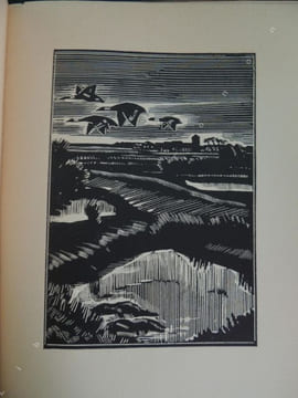 DOMINIQUE Illustations de L. - J. Soulas. FROMENTIN Eugène
