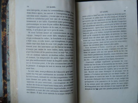 QUINZE JOURS AU SINAÏ. DUMAS Alex(andre) DAUZATS A(drien)